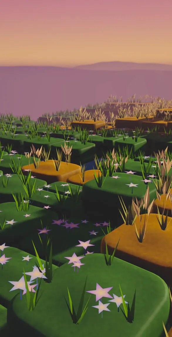 The same land grown back: green squares with small pale flowers and tall grass plumes